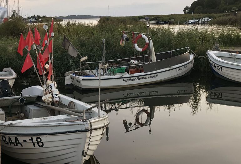 Fischerboote im Hafen von Baabe